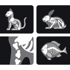 New Malette de vétérinaire (15 pièces) Docteur / Vétérinaire