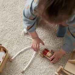 Mallette et accessoires de Docteur en bois Docteur / Vétérinaire