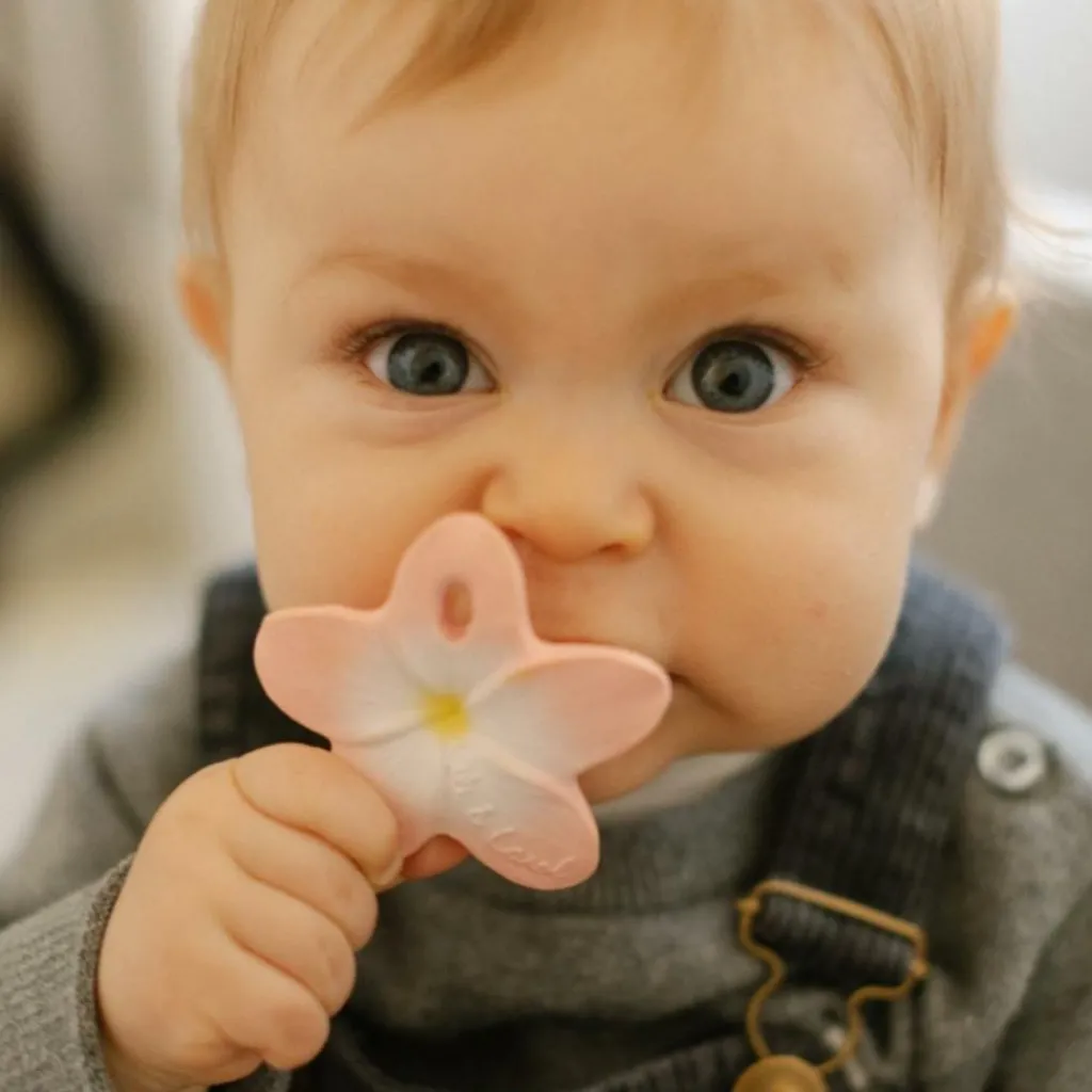 Discount Mini jouet de dentition Bella the flower Jouet / Anneau De Dentition