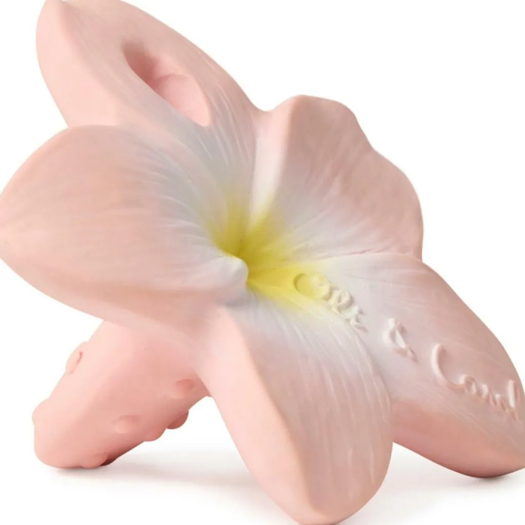 Discount Mini jouet de dentition Bella the flower Jouet / Anneau De Dentition