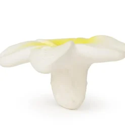 Sale Mini jouet de dentition Hawaii the flower Jouet / Anneau De Dentition