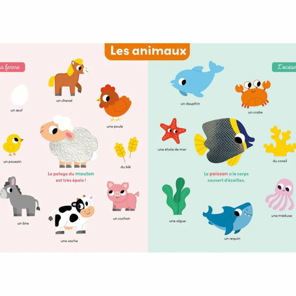 Outlet Mon premier imagier à toucher - Reconditionné Imagier