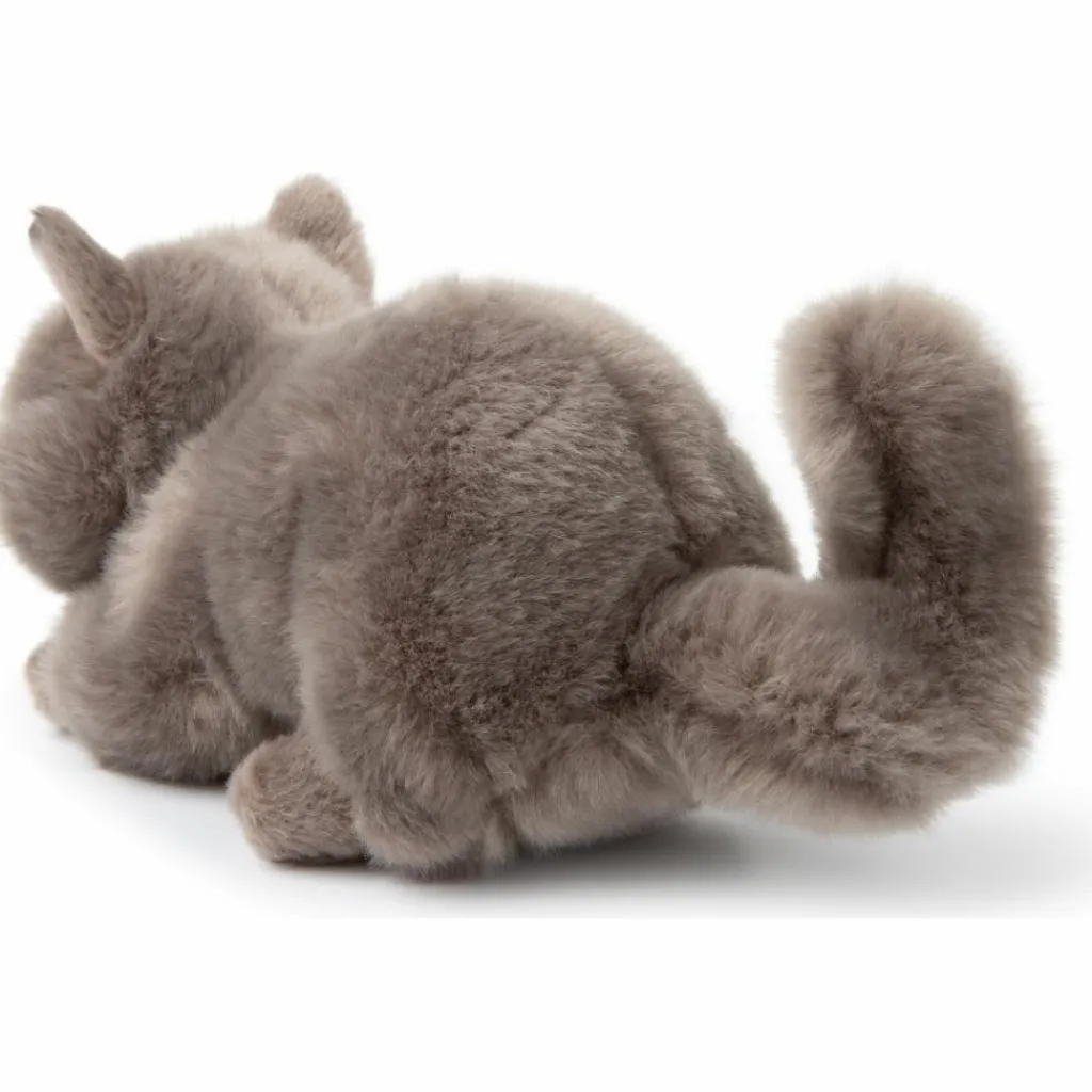 Outlet Peluche Freddy le Brittish Shorthair (20 cm) Petite Peluche (< 20 Cm)