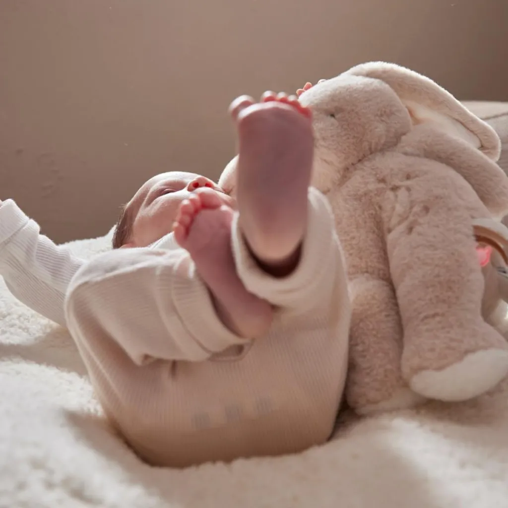 Clearance Peluche Moka (40 cm) Peluche Moyenne (20-59 Cm)