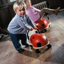 Online Porteur coccinelle (Petit modèle) Porteur