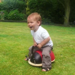 Online Porteur coccinelle (Petit modèle) Porteur