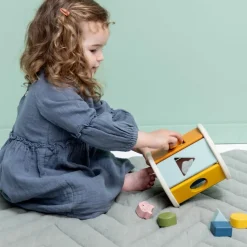 Best Rouleau à formes en bois Jouet À Encastrer