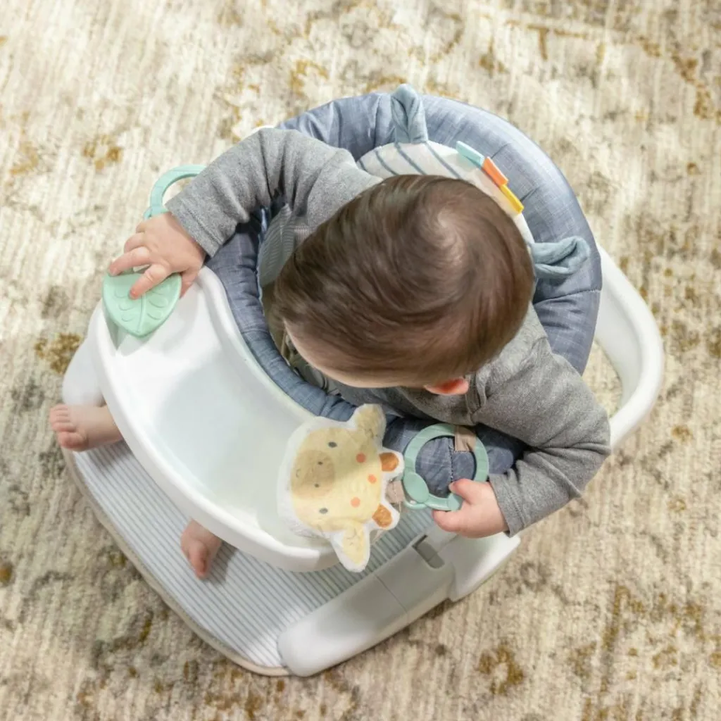 New Siège d'apprentissage Casi le Zèbre Centre D'Activités