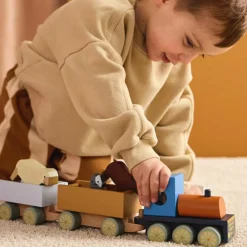 Outlet Train d'activités Animaux de la ferme Aiden Jeu De Construction