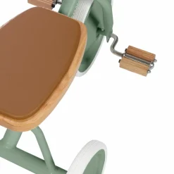 Online Tricycle évolutif Trike Forest Tricycle