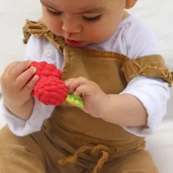 Valery la framboise en latex d'hévéa Jouet / Anneau De Dentition